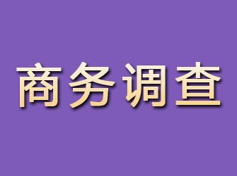 珠山商务调查